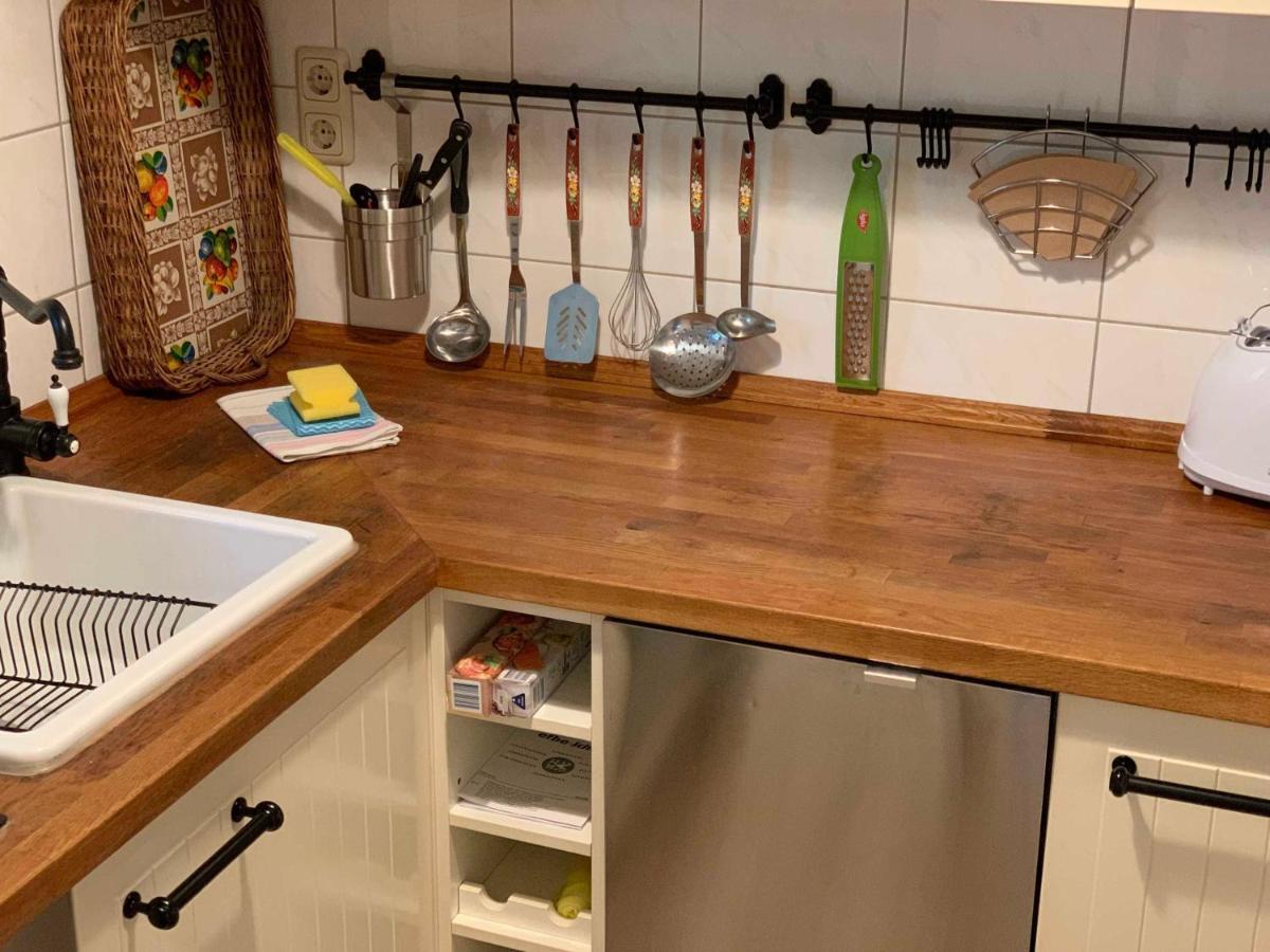 Am Luisenpark Apartment Erfurt